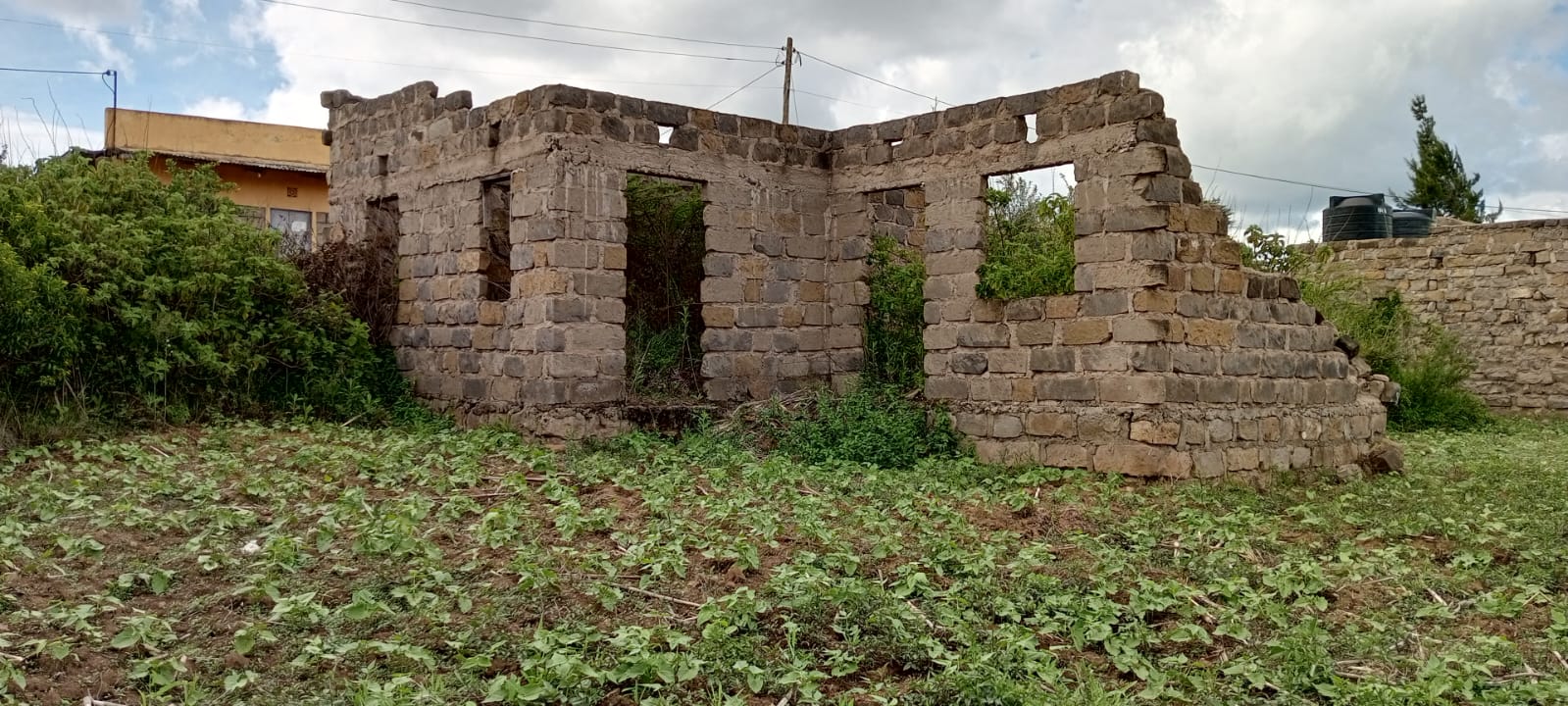 London Estate Narok 50x100 freehold residential plot